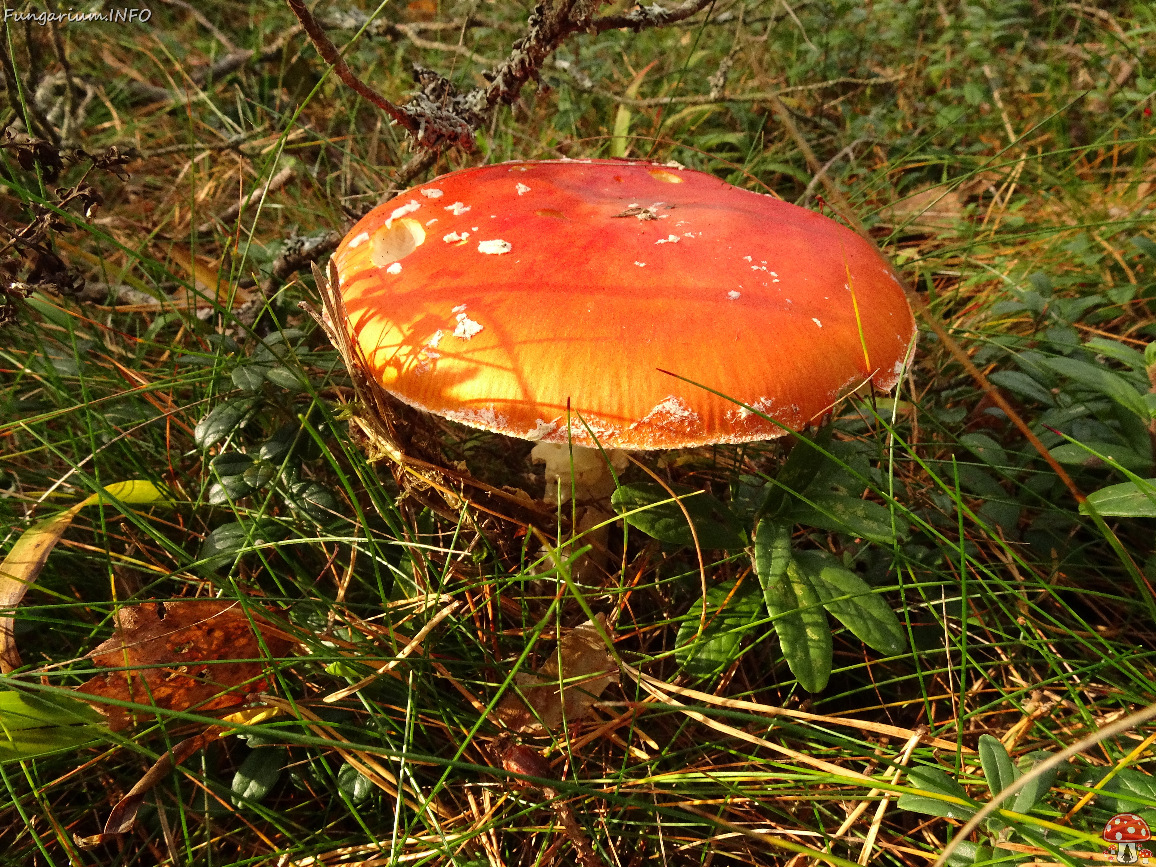 DSC06739 