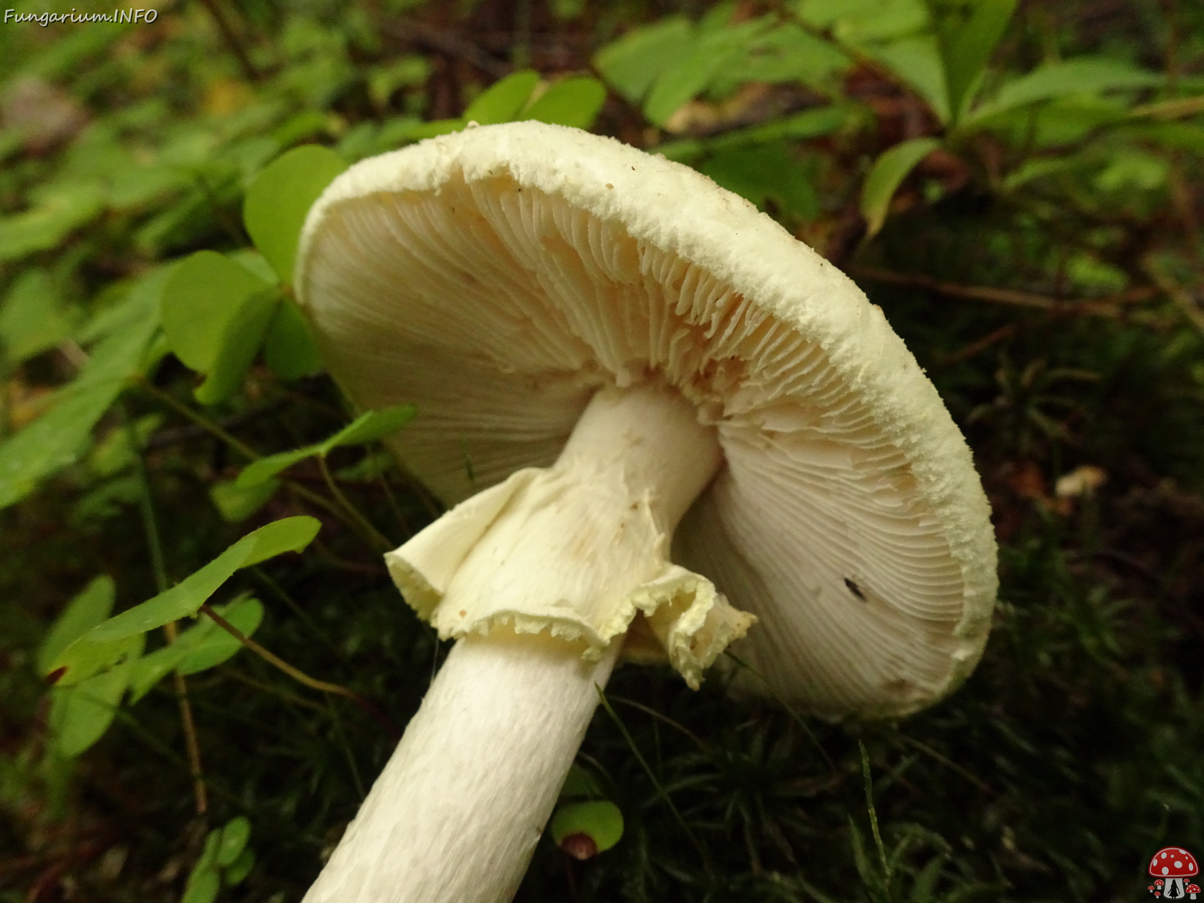DSC00462 