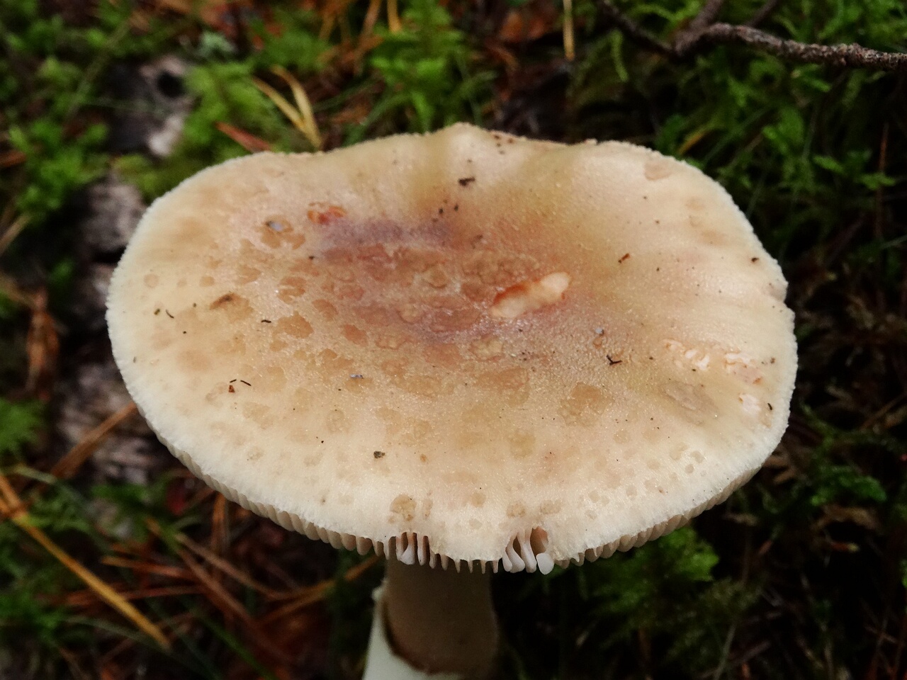 DSC03119