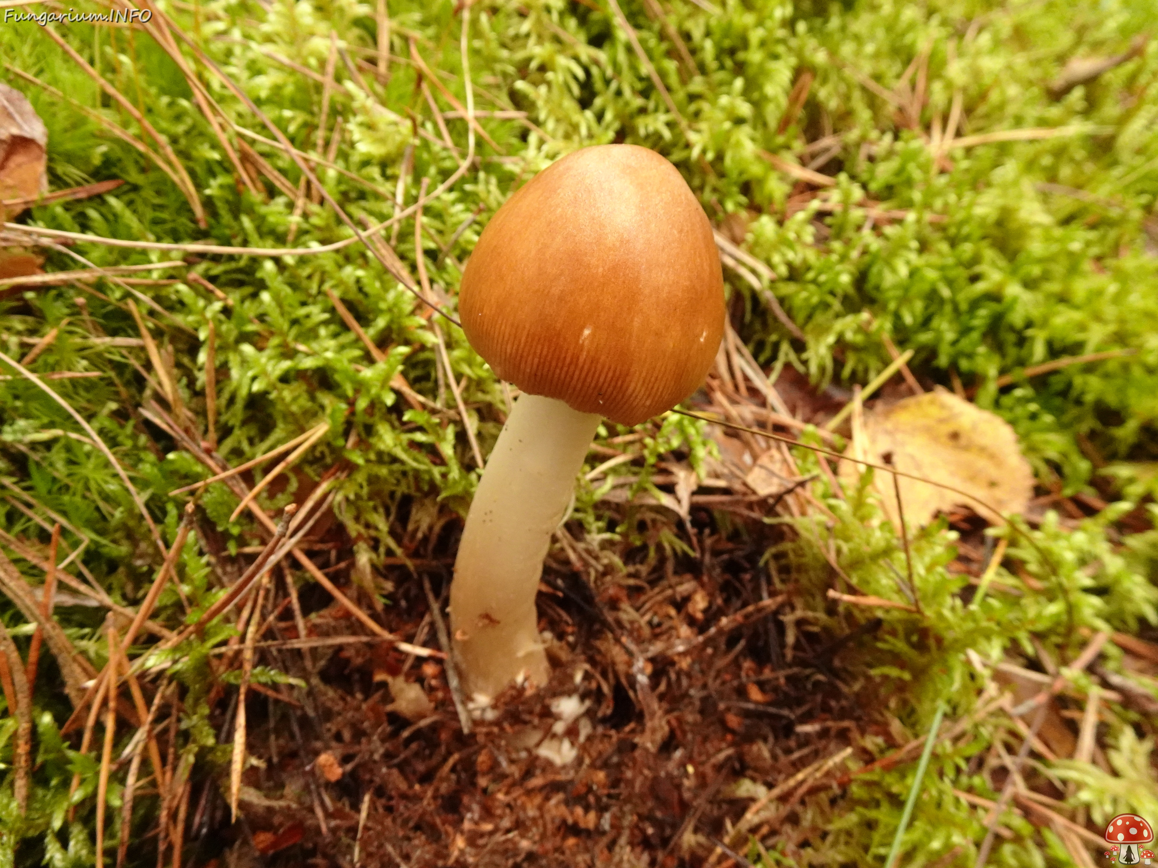 DSC06445 