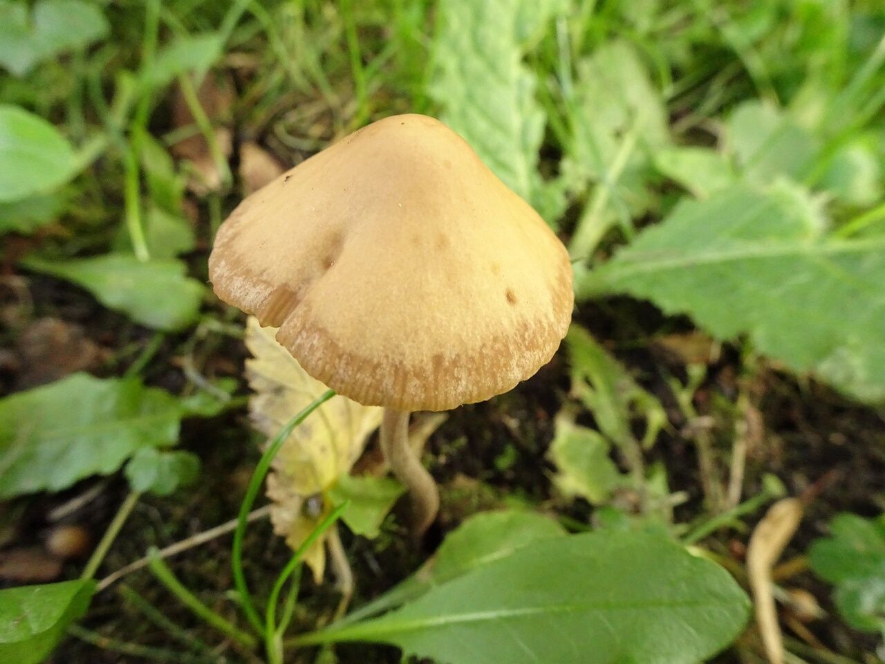 DSC05888