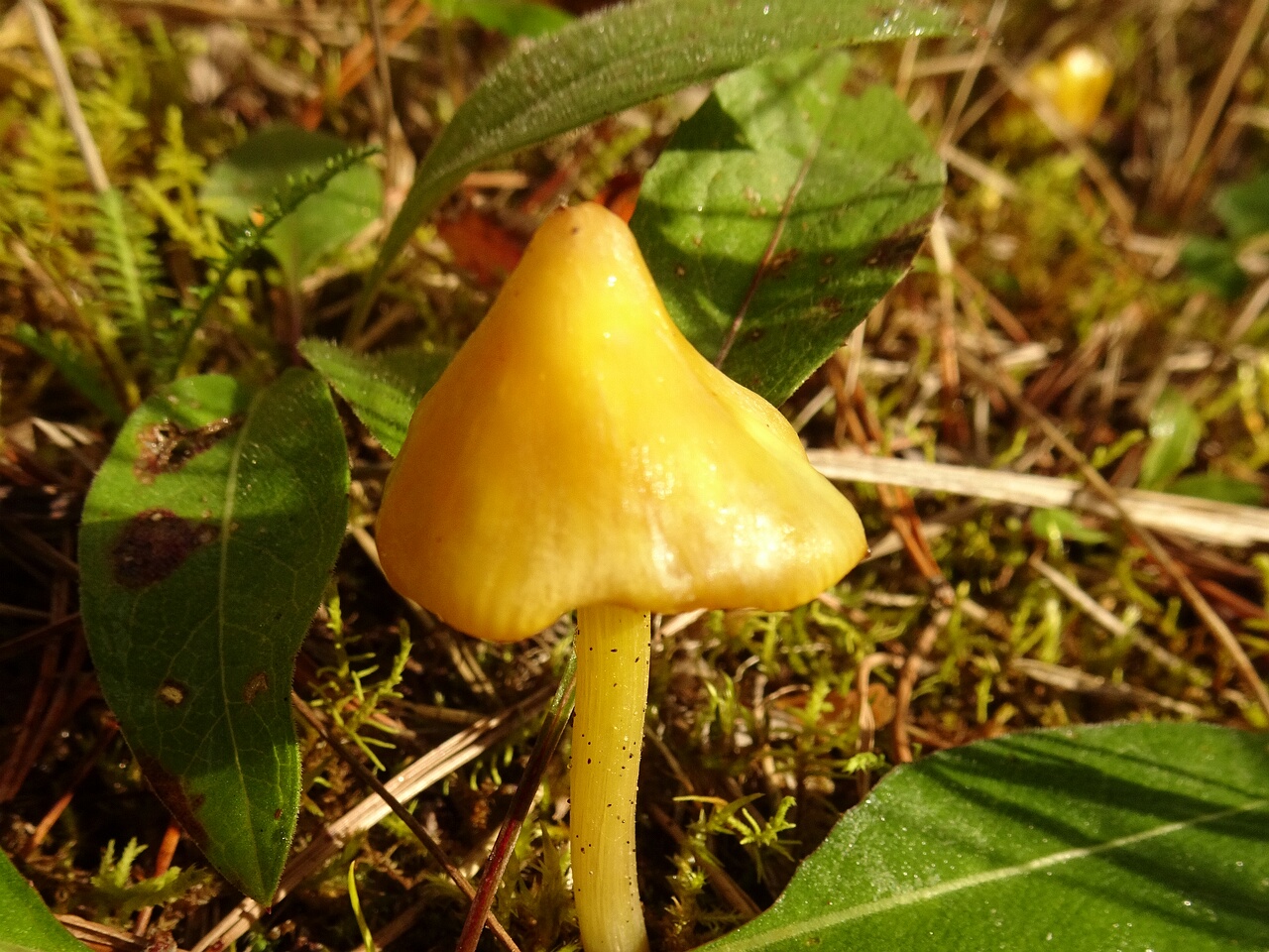 DSC05971