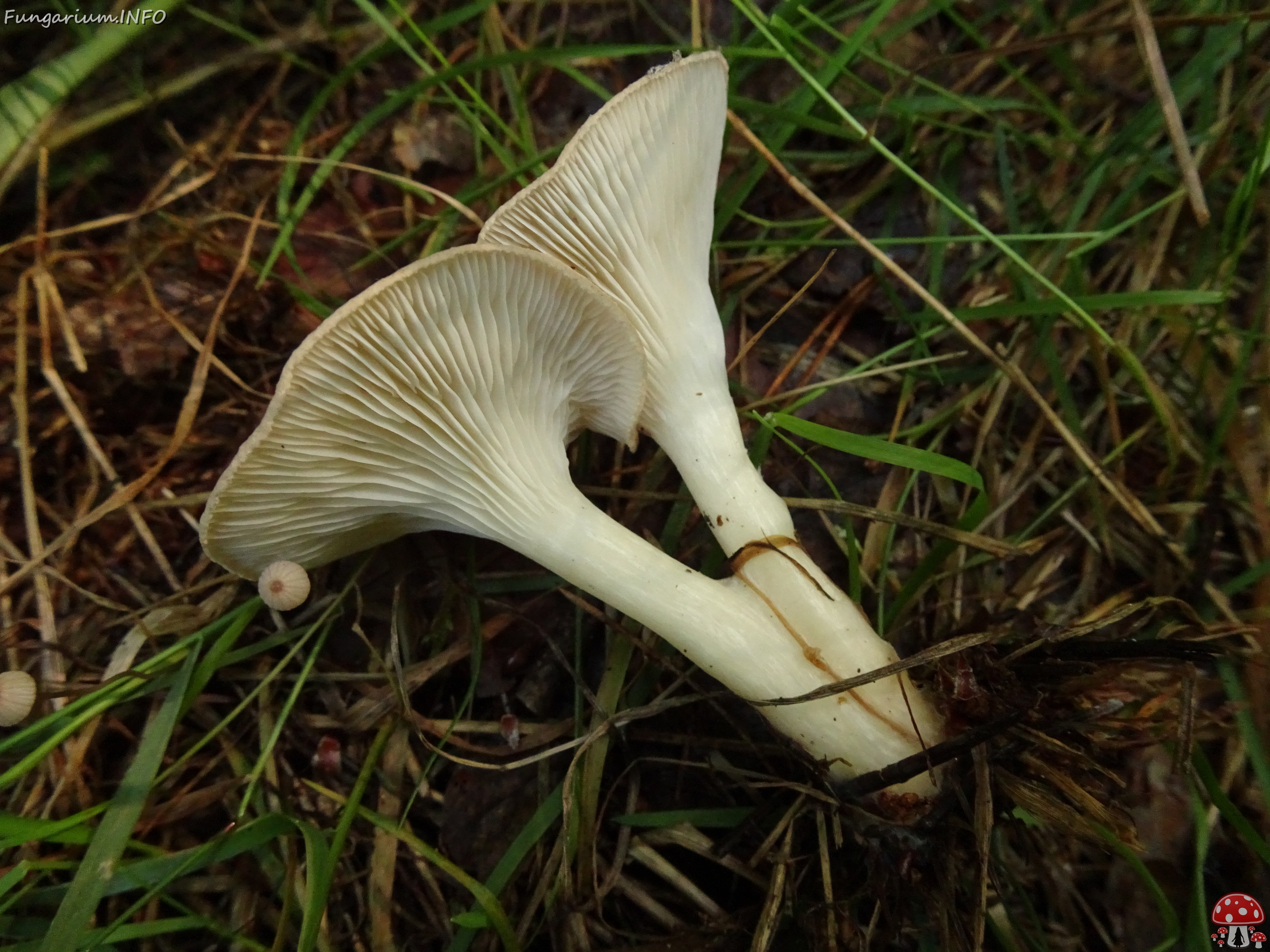 DSC05650 
