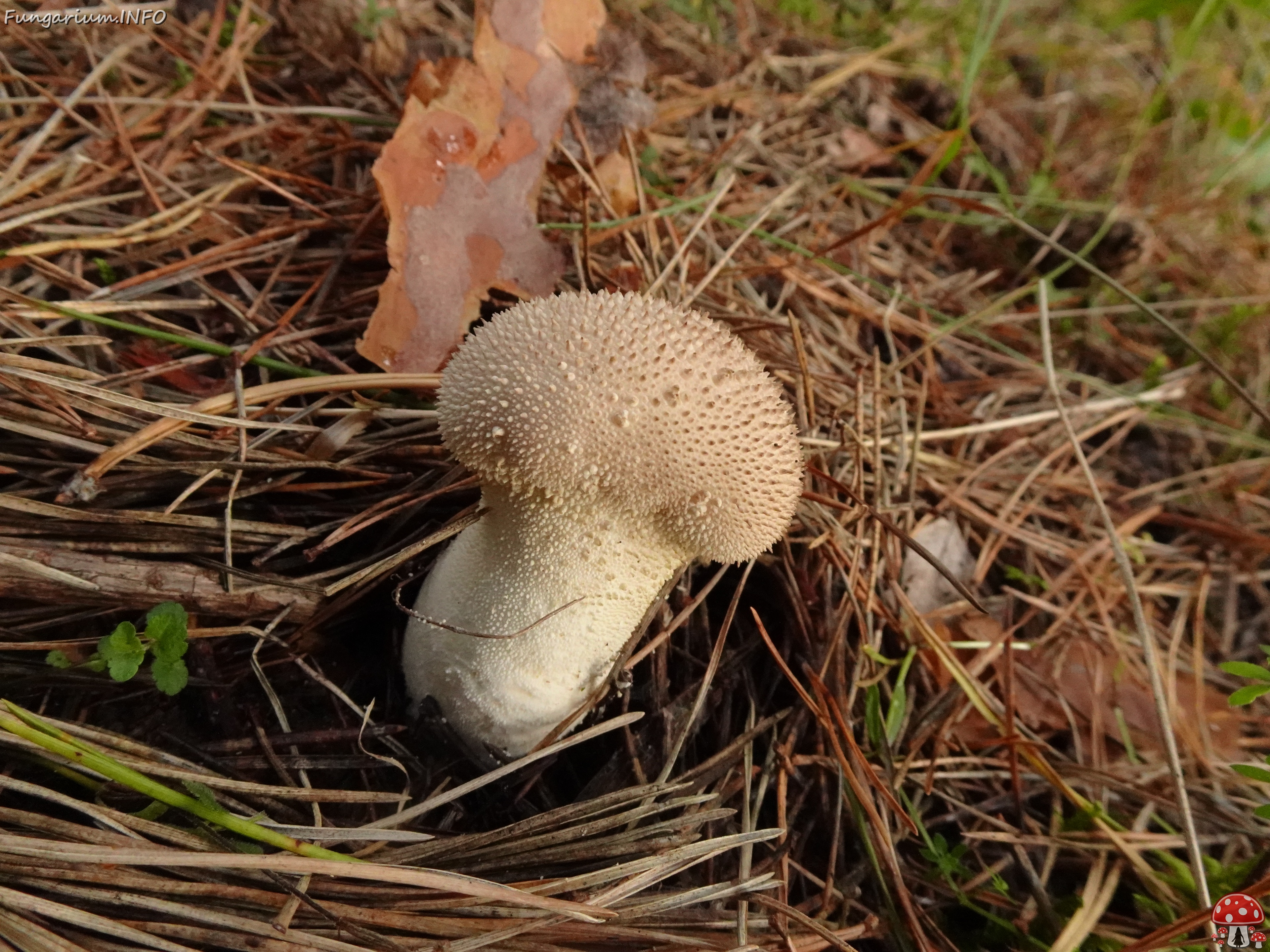 DSC06569 