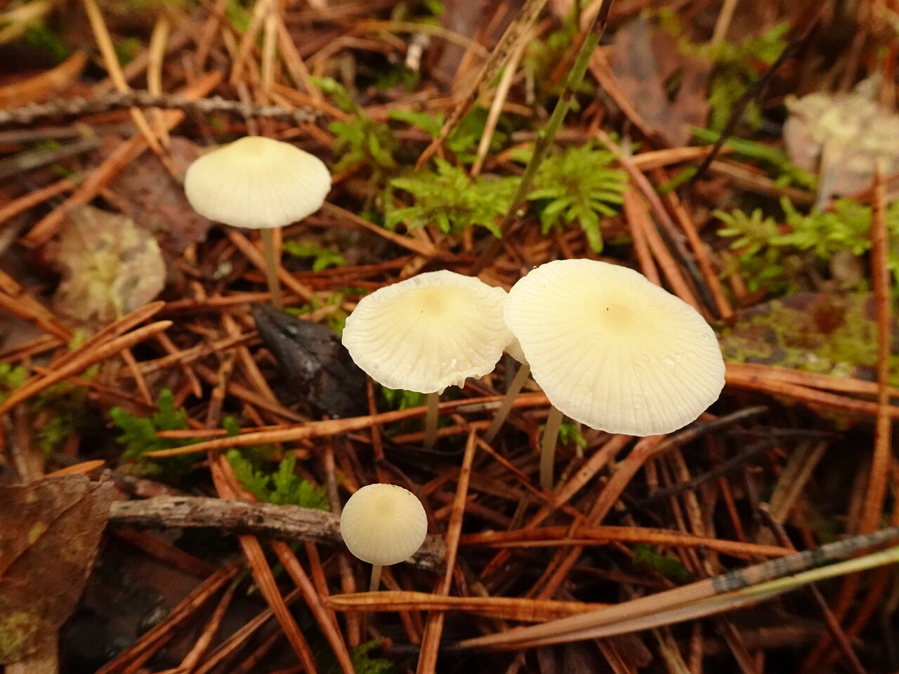DSC05877