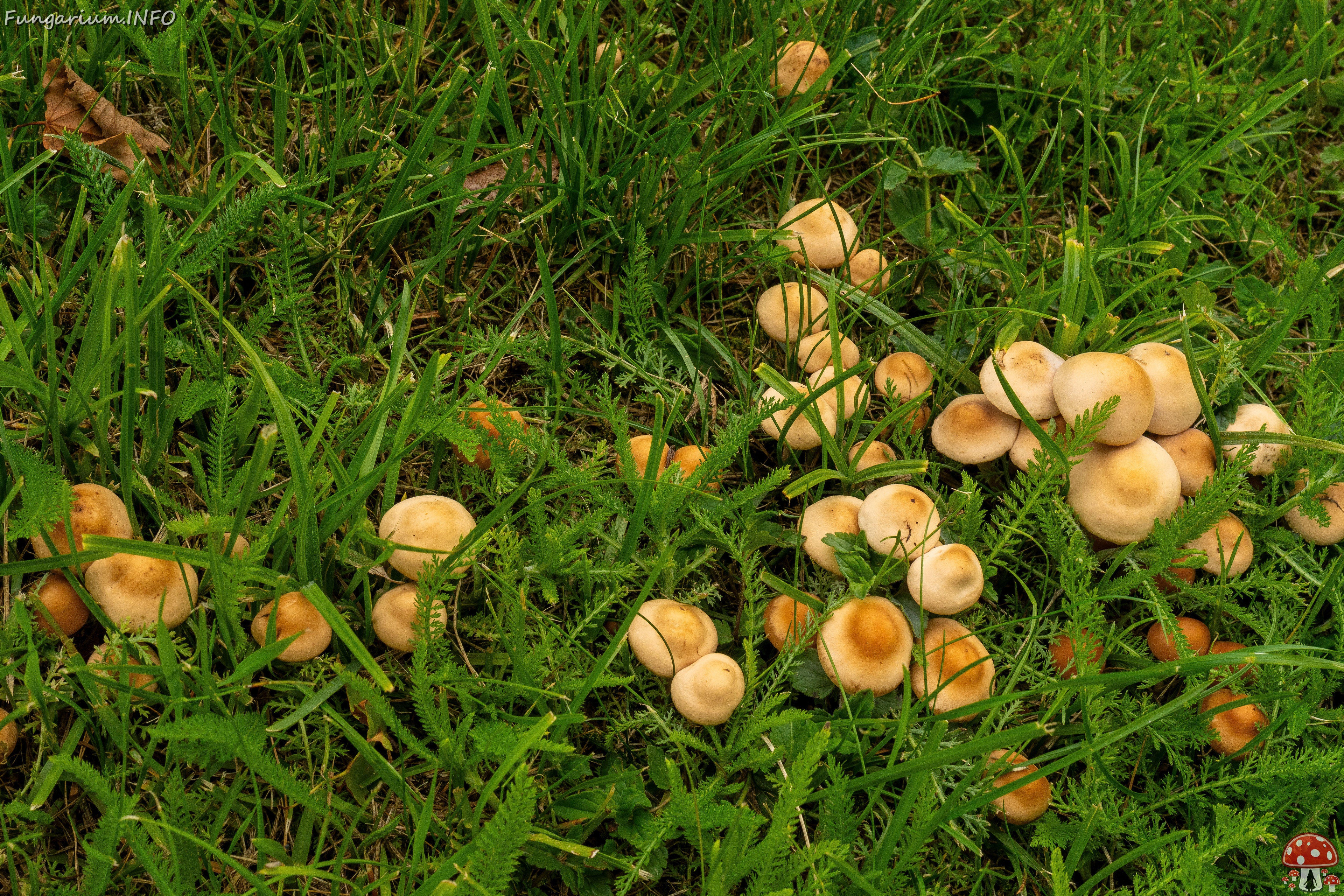 palmse-mõis_1-42 