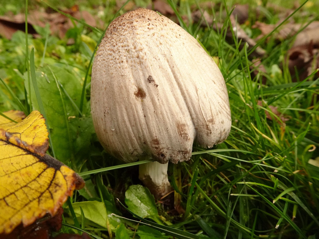 !DSC07286