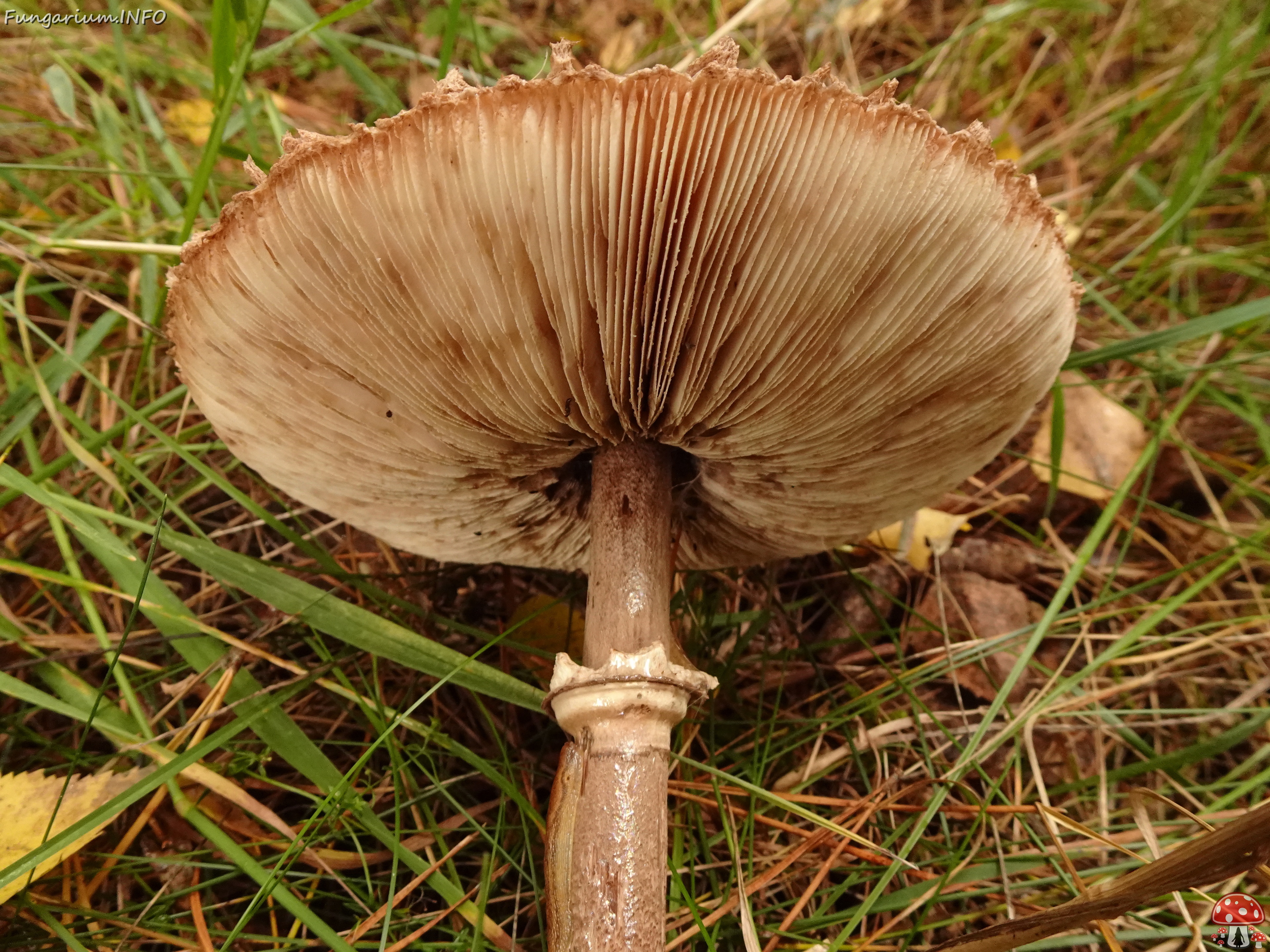 DSC06908 