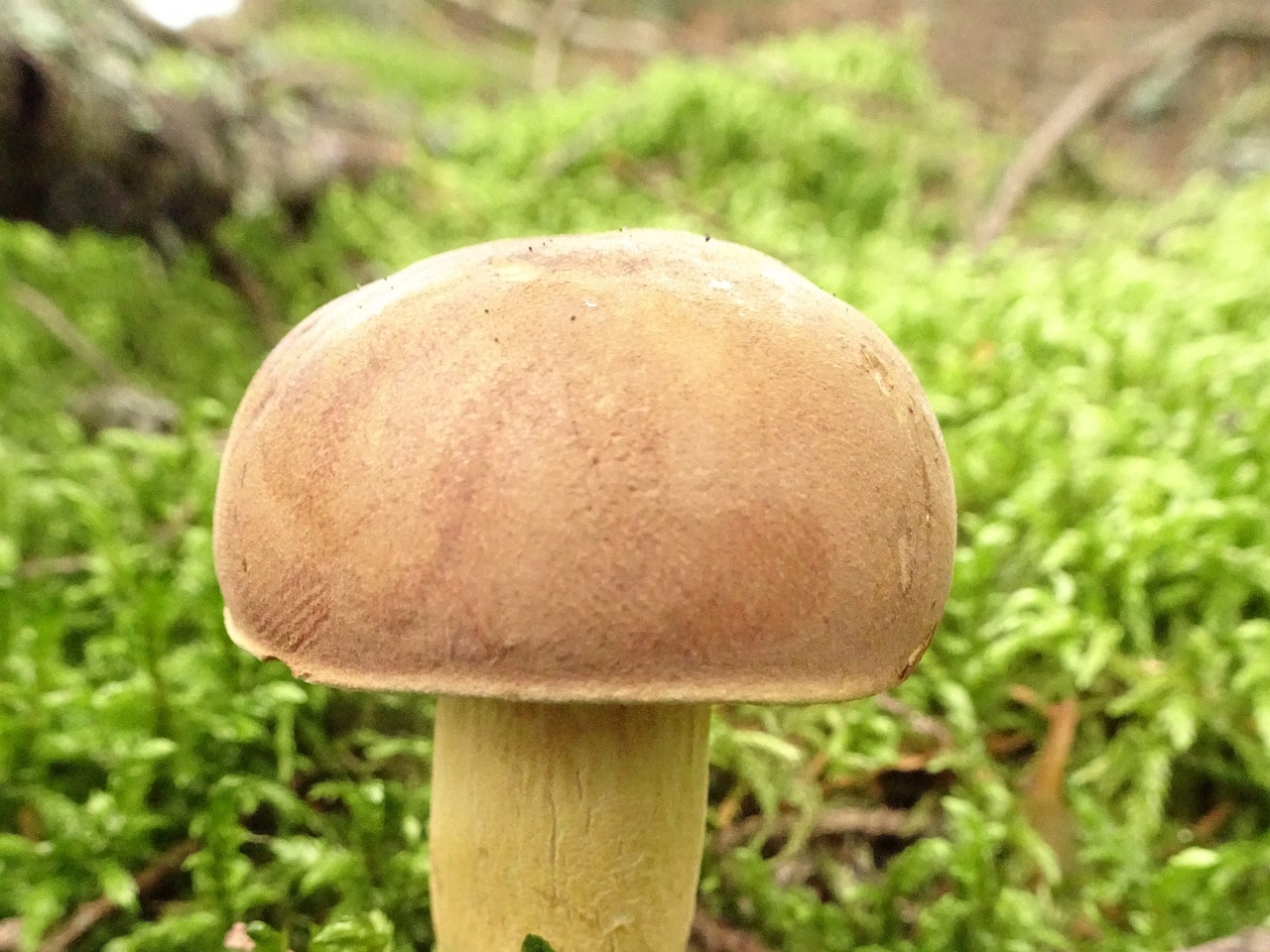 DSC00269
