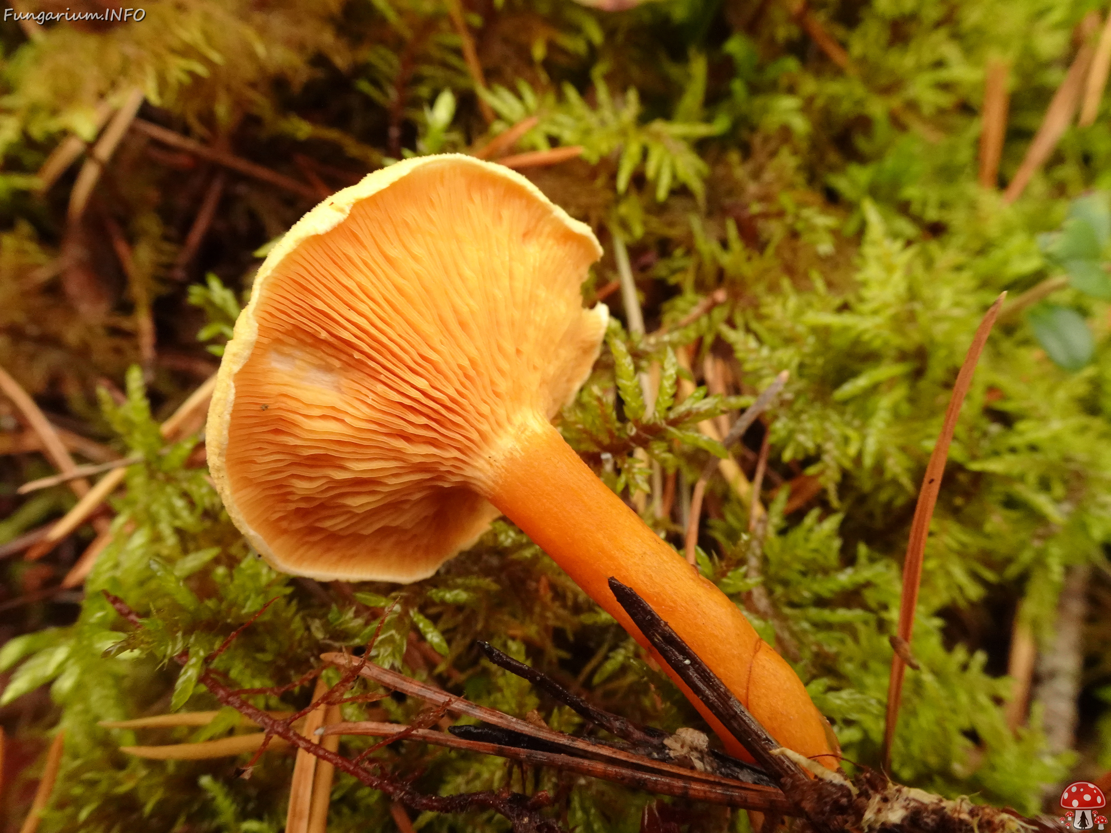 DSC06000 