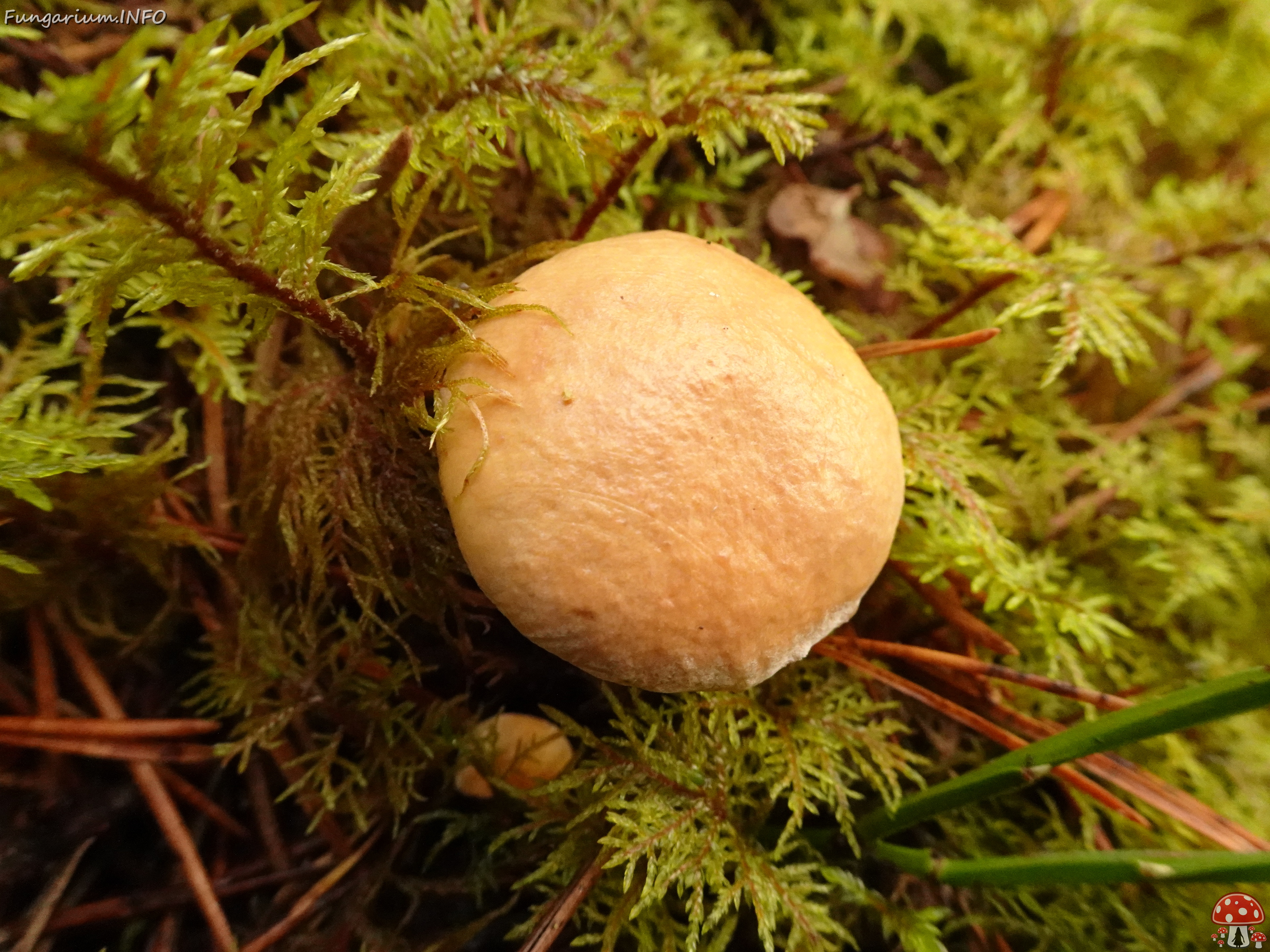 DSC06450 