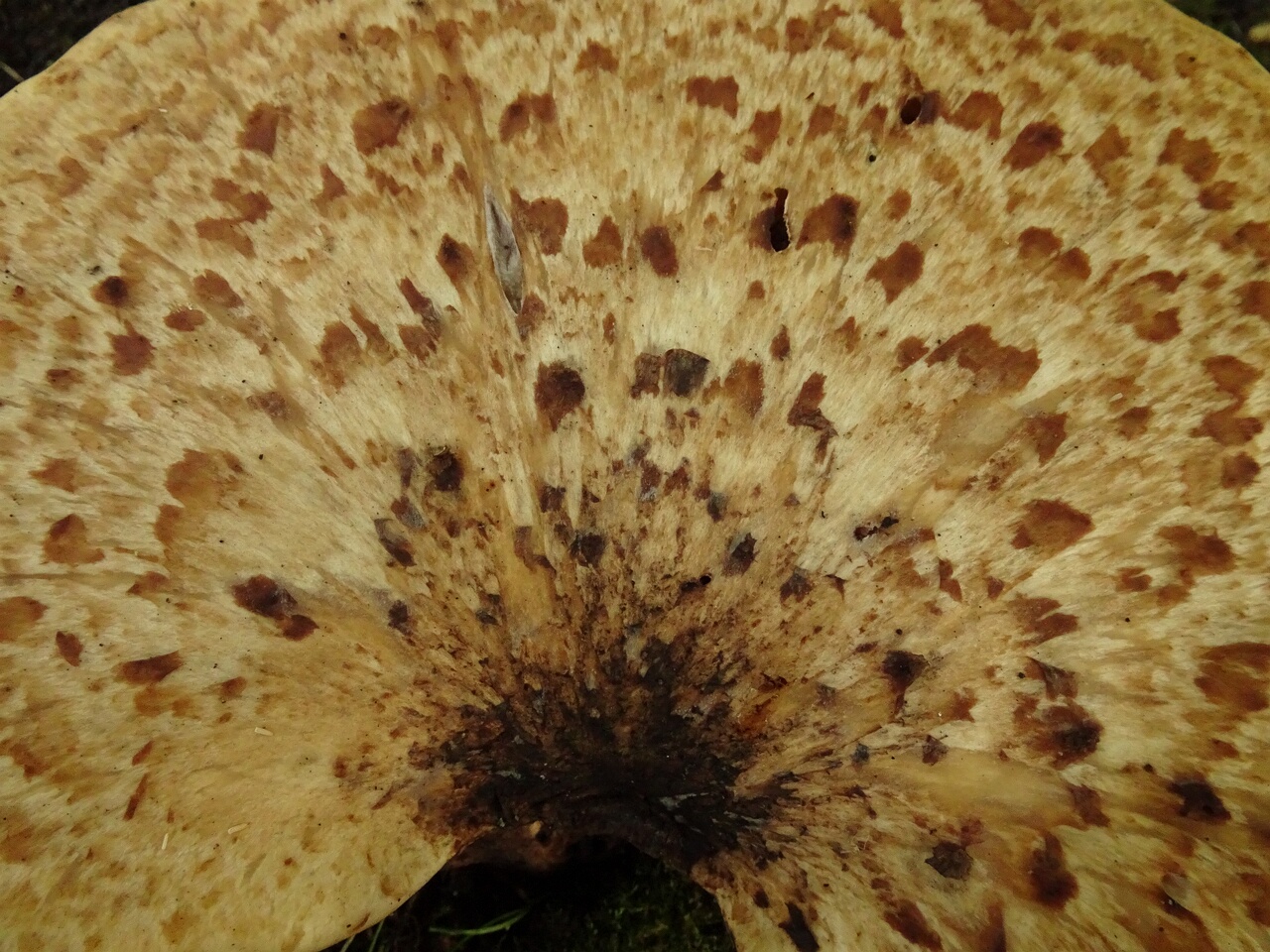 DSC05870