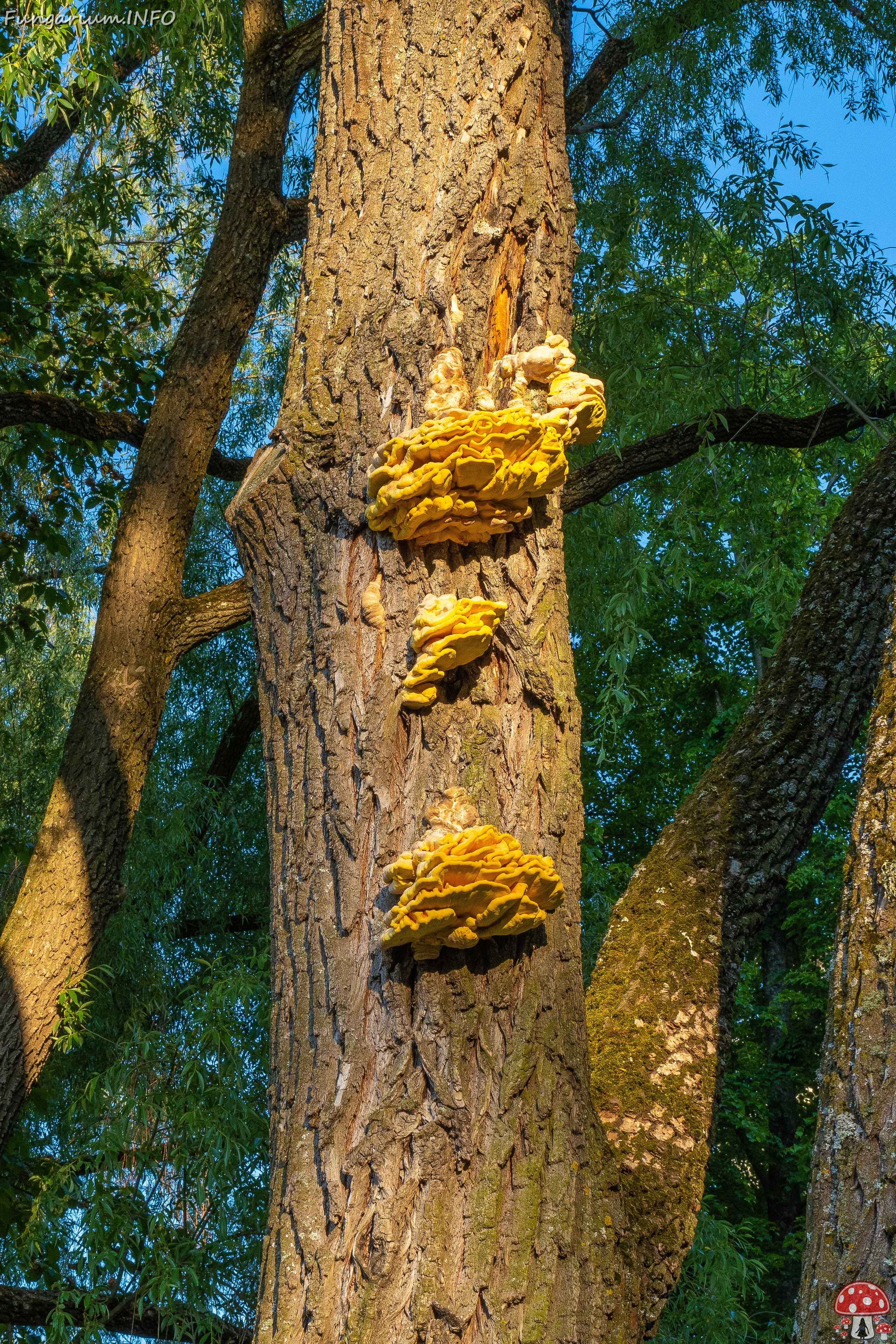 lauluvaeljak_park_area-3 