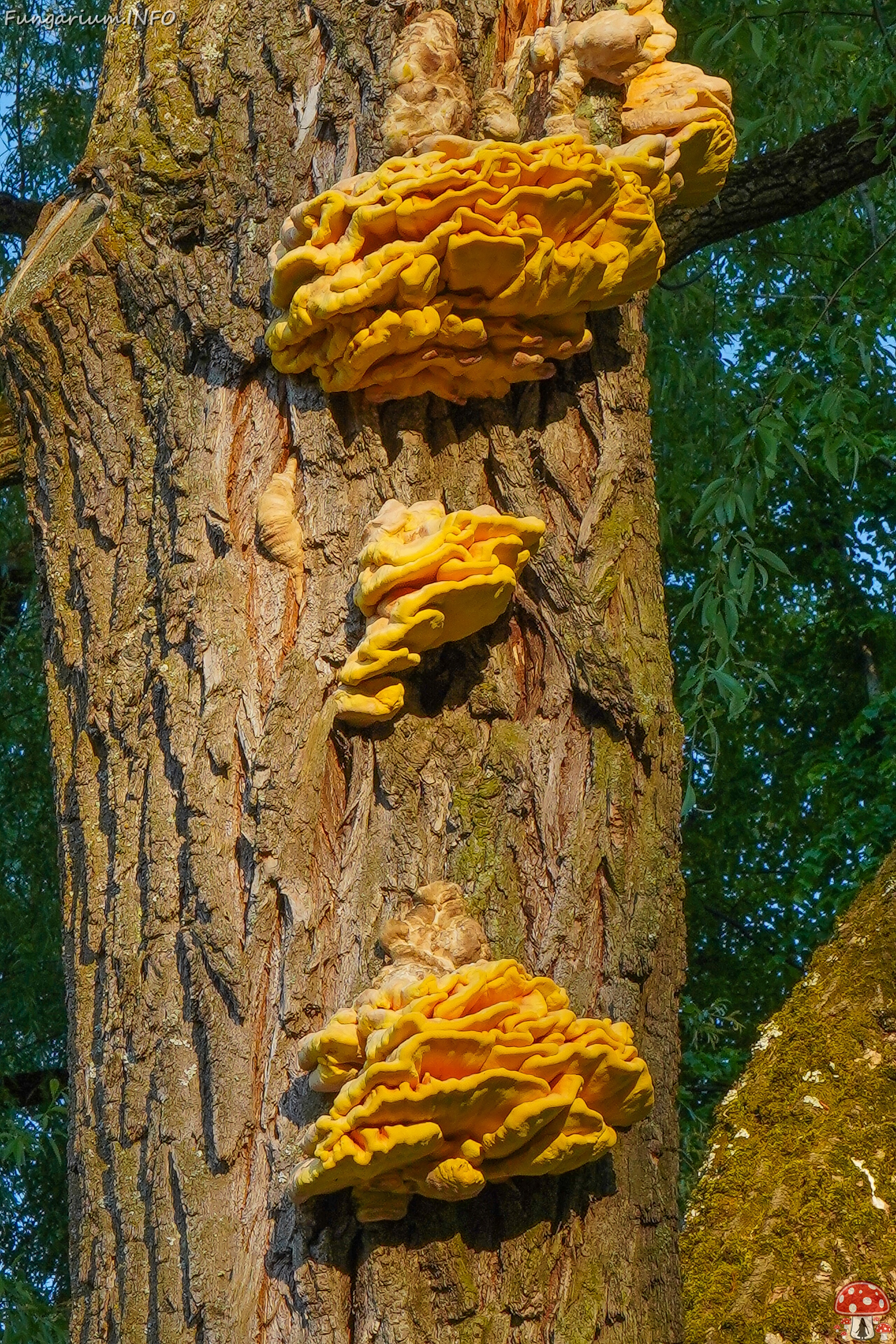 lauluvaeljak_park_area-6 