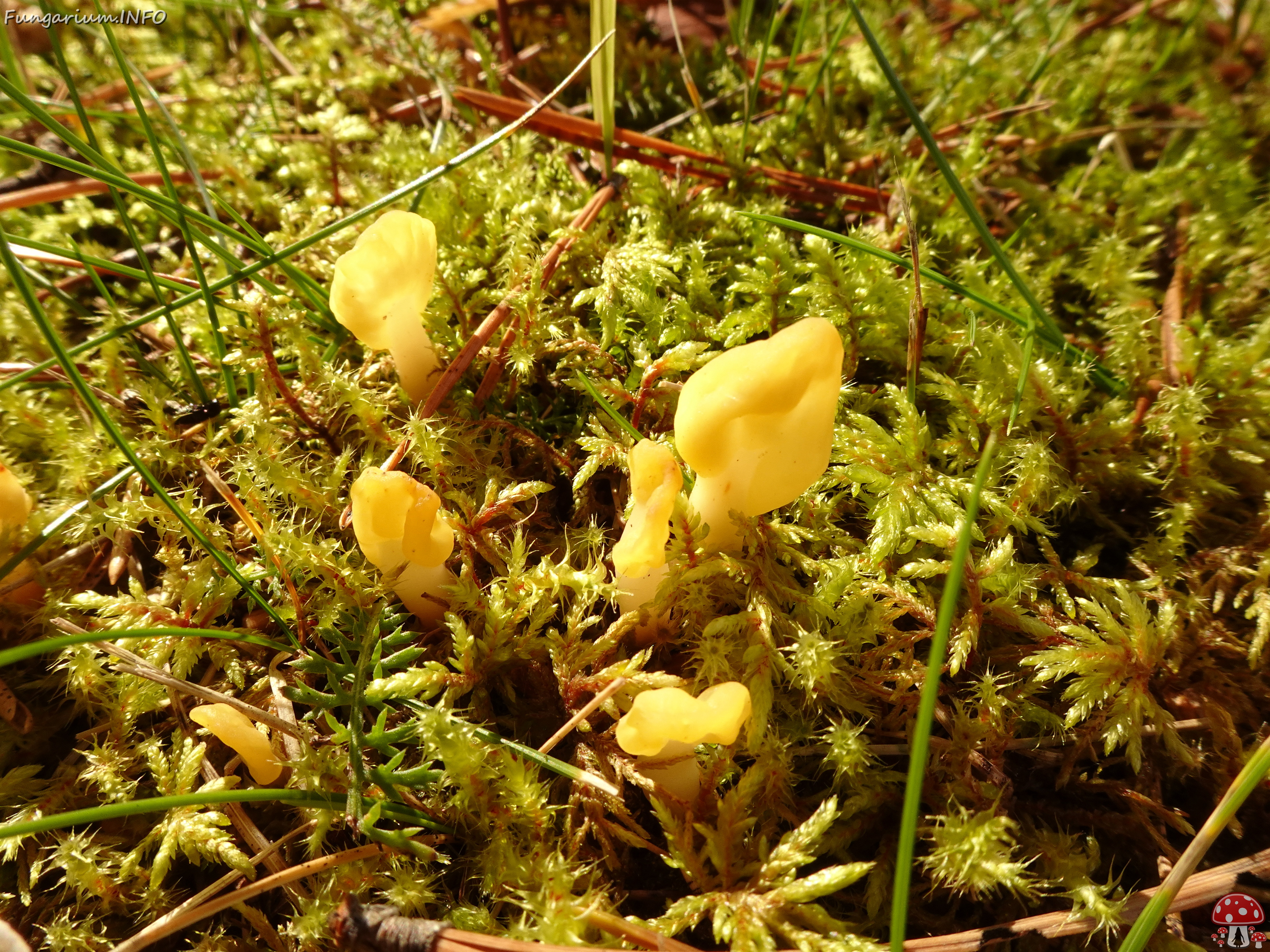 DSC07201 