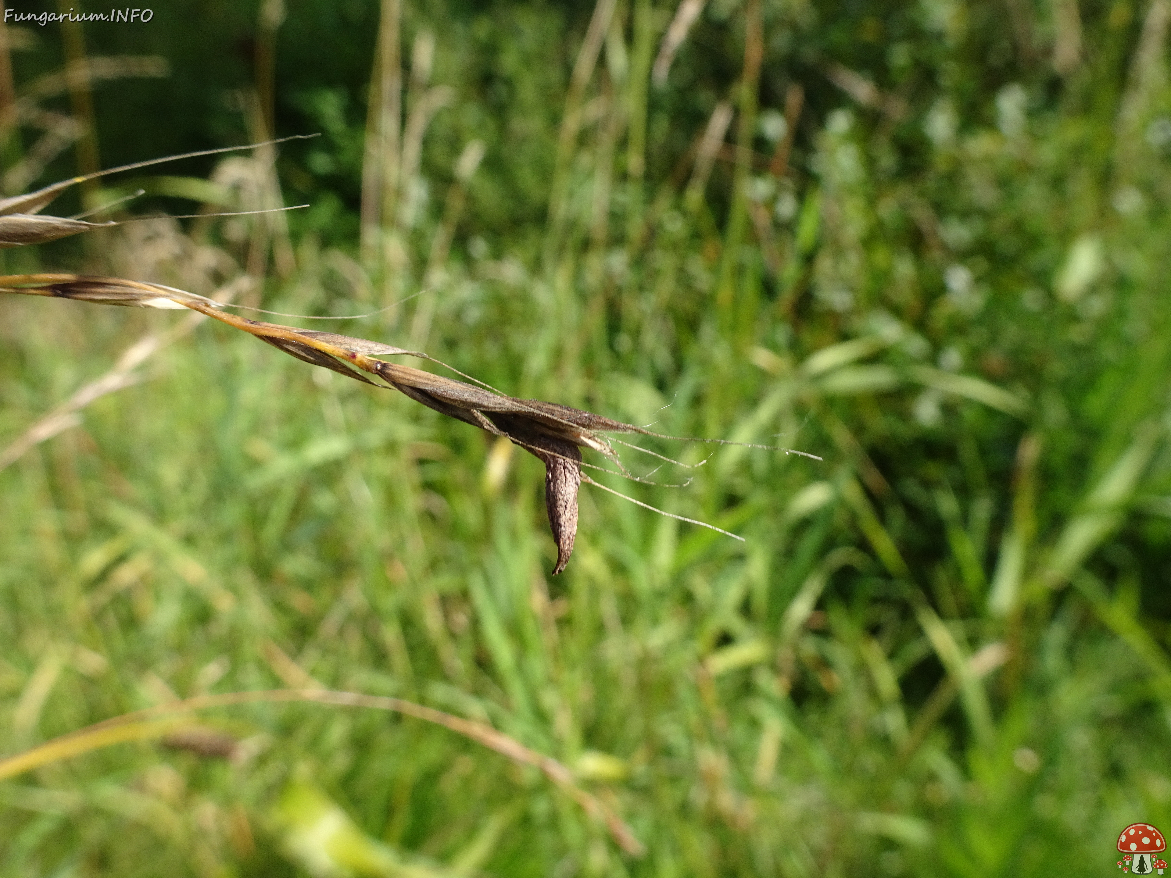 DSC00146 