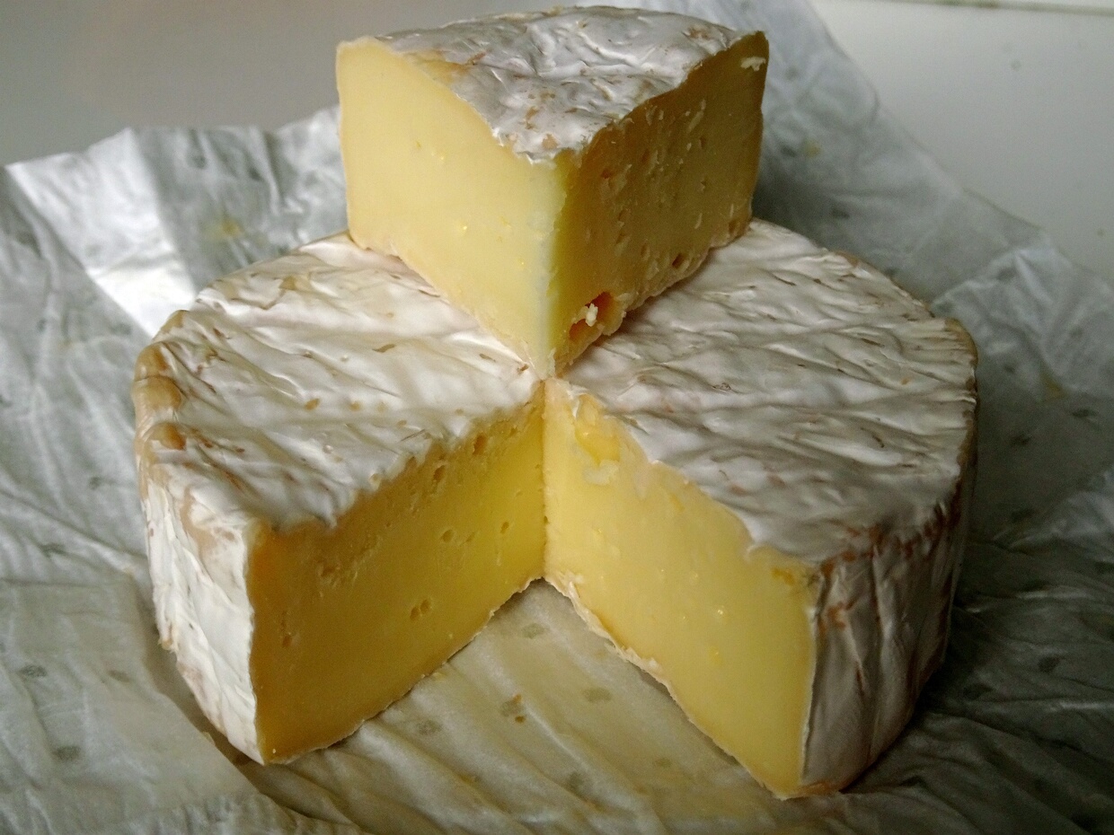 Эуроциевые - Eurotiales The Eurotiales are an order of sac fungi, also known as the green and blue molds. The order contains three families, 49...