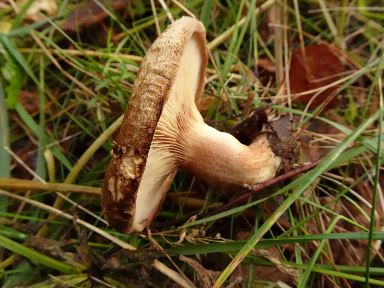 DSC06949