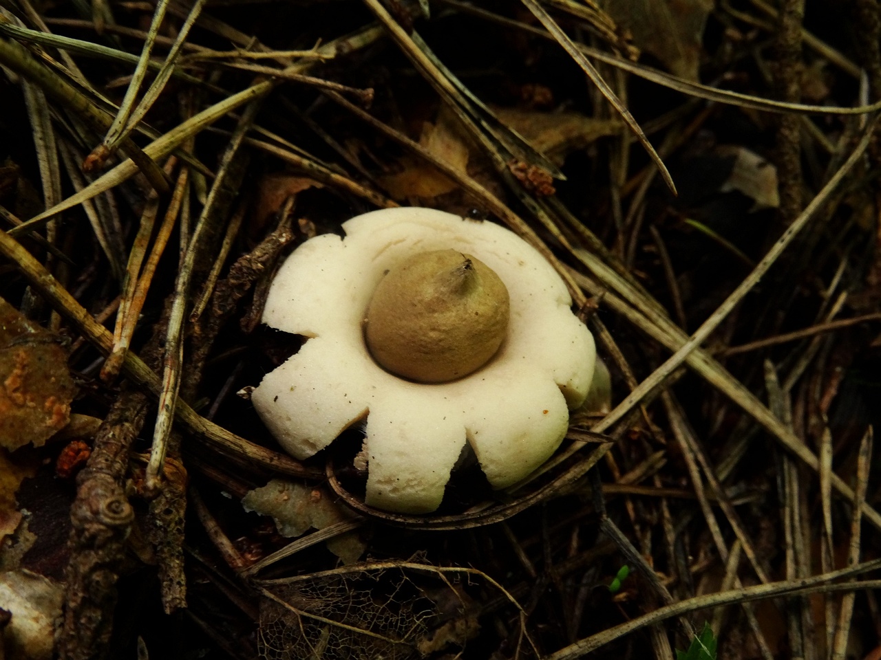 DSC02709