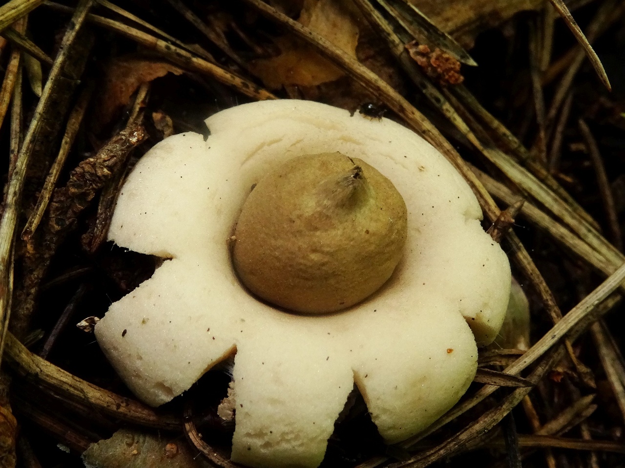 DSC02710_
