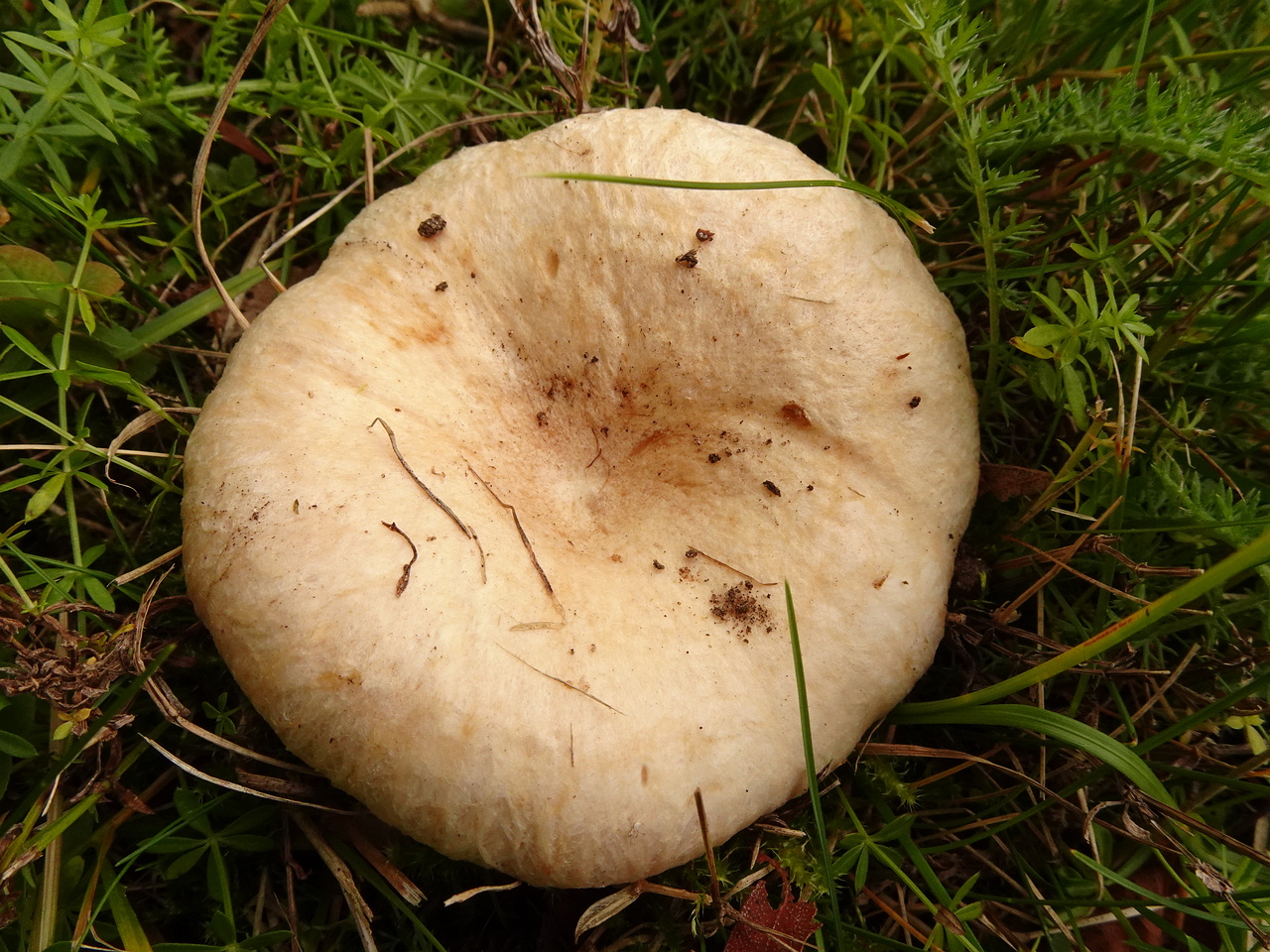 0DSC06499
