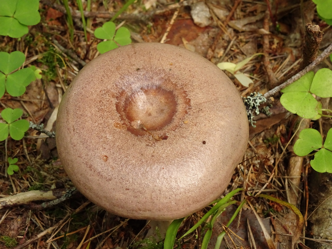 DSC04291