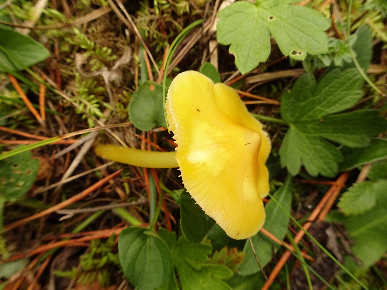 DSC05129