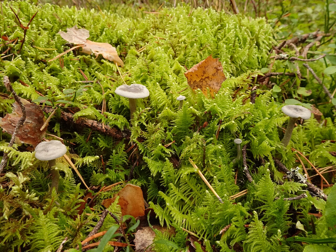 DSC06381