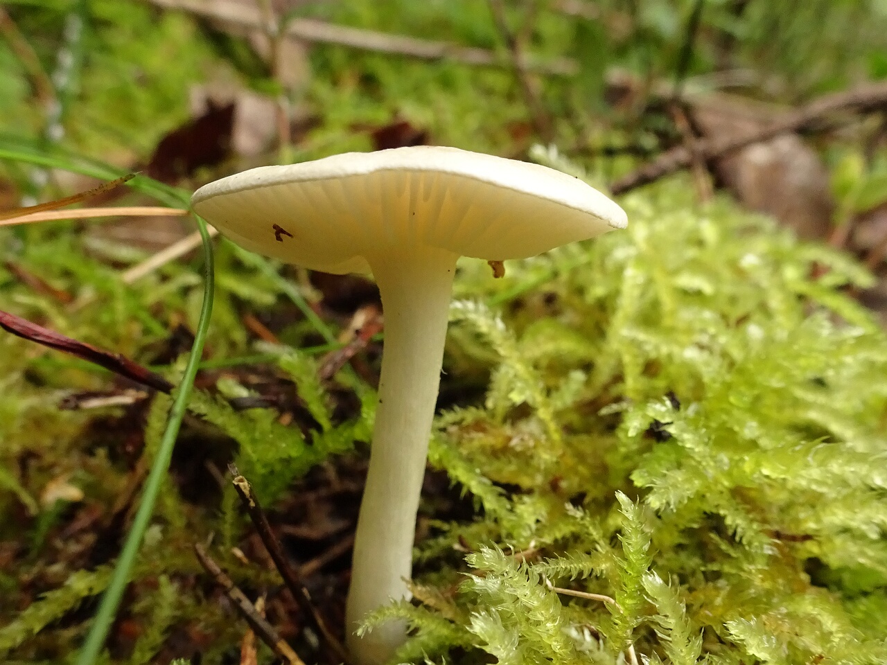 DSC00509