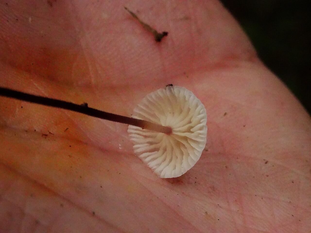 DSC03060