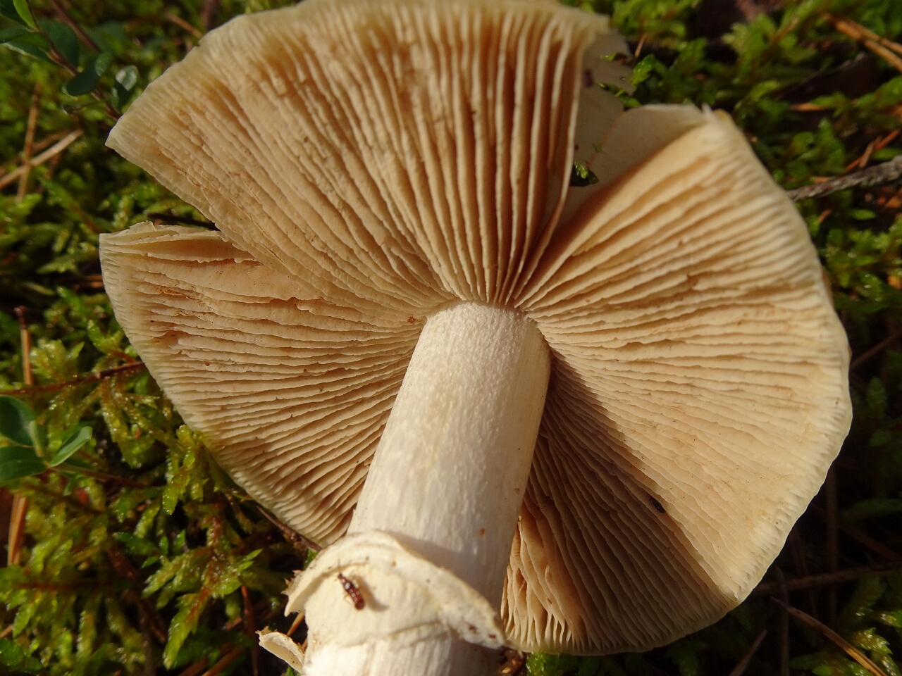 DSC04003