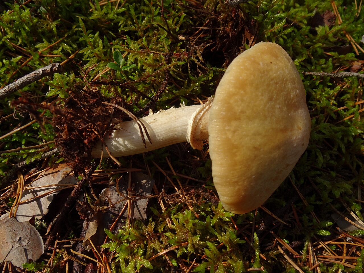 DSC04004