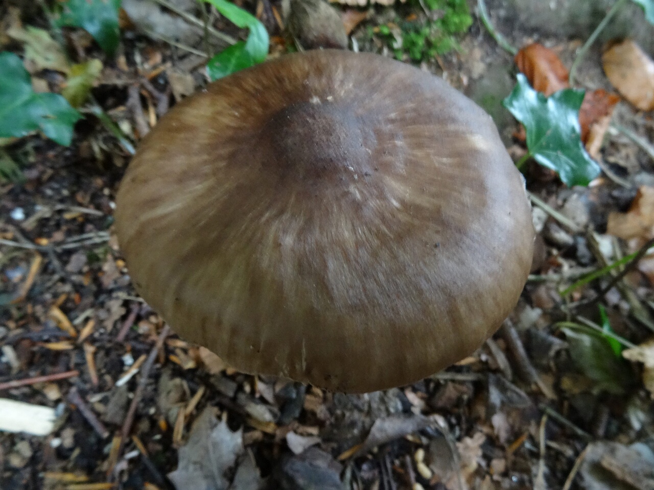 DSC06659