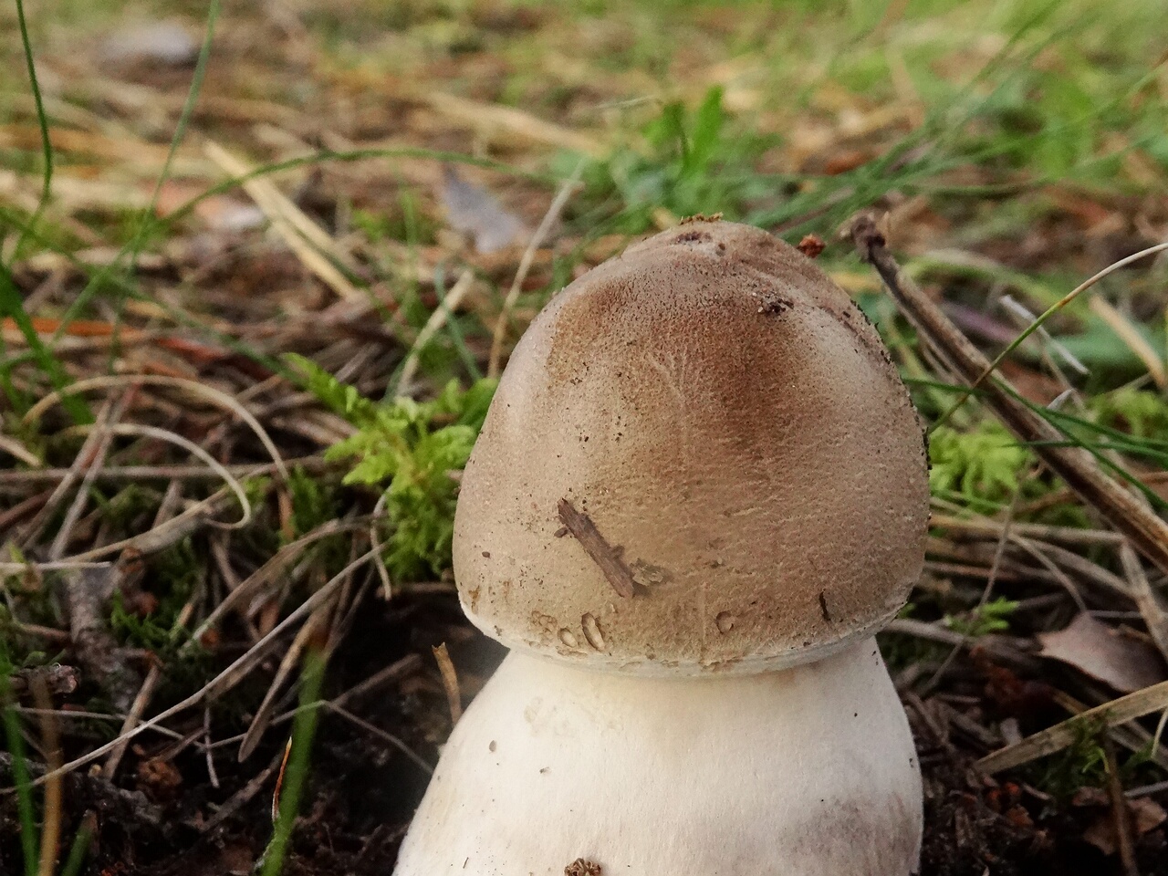 DSC03514