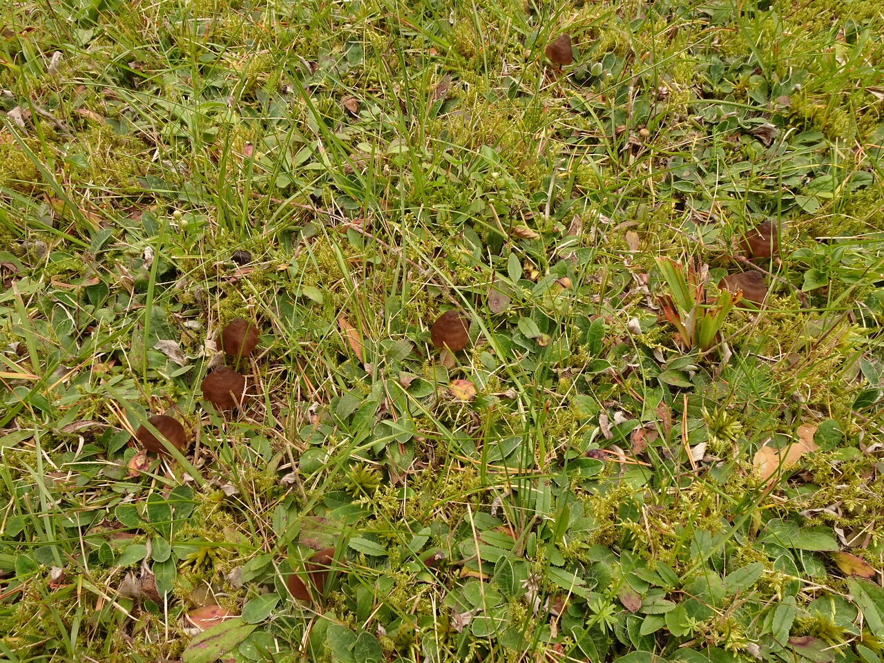 DSC06487