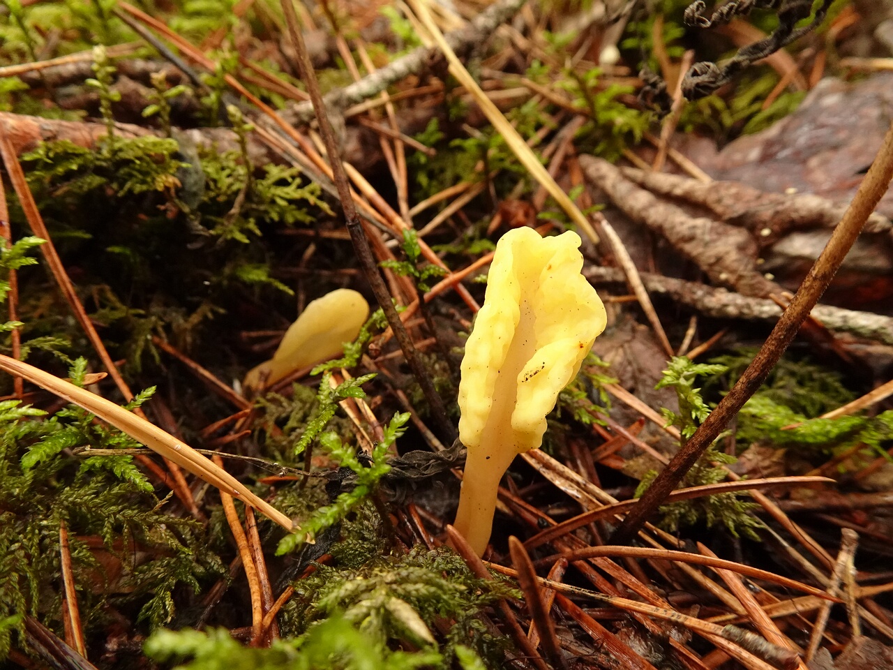 DSC06641