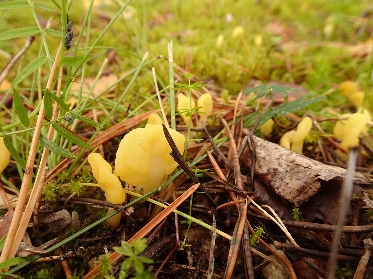 DSC06809